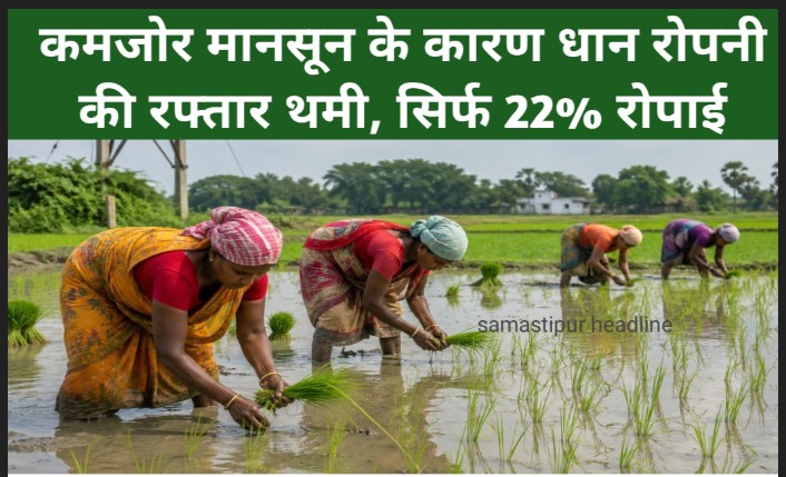 बारिश नहीं होने से निजी सिंचाई पर बढ़ी निर्भरता, महंगा पटवन और बिजली संकट ने बढ़ाई किसानों की चिंता कमजोर मानसून के कारण धान रोपनी की रफ्तार थमी, सिर्फ 22% रोपाई